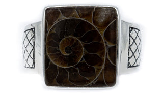 Ammonite Ring.