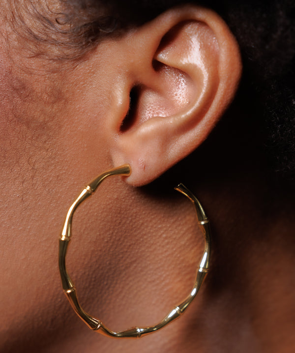 Bamboo Earrings