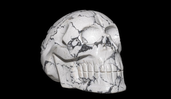 Our Howlite Gemstone Skull Sculpture is hand-carved and perfect for decorative display in your professional space or home. Designed with original Howlite from Mexico all markings are original and natural.