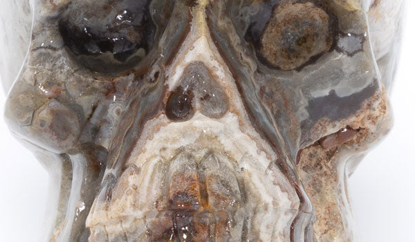 Agate Gemstone Skull Sculpture close up