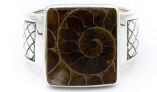 Men's Sterling Silver Ammonite Fossil Signet Ring