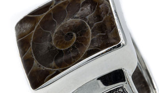 Fossile Ammonite Ring.